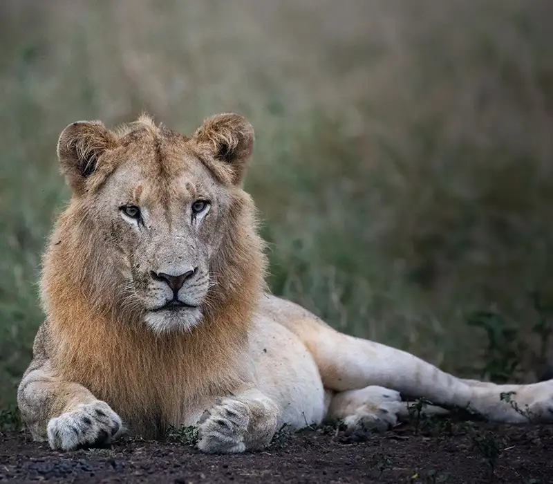 Photo by Coenraad Berrange
